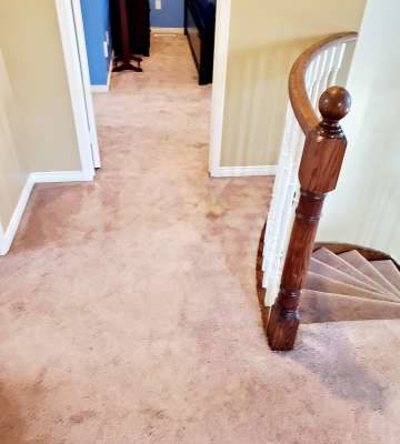 Nanaimo Cleaning Company