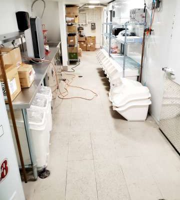 Nanaimo Commercial Cleaning Services